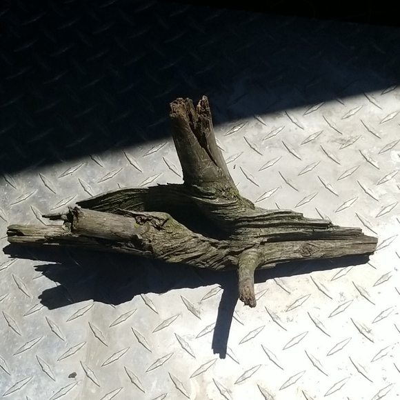 Drift Wood - Picture 3 of 5